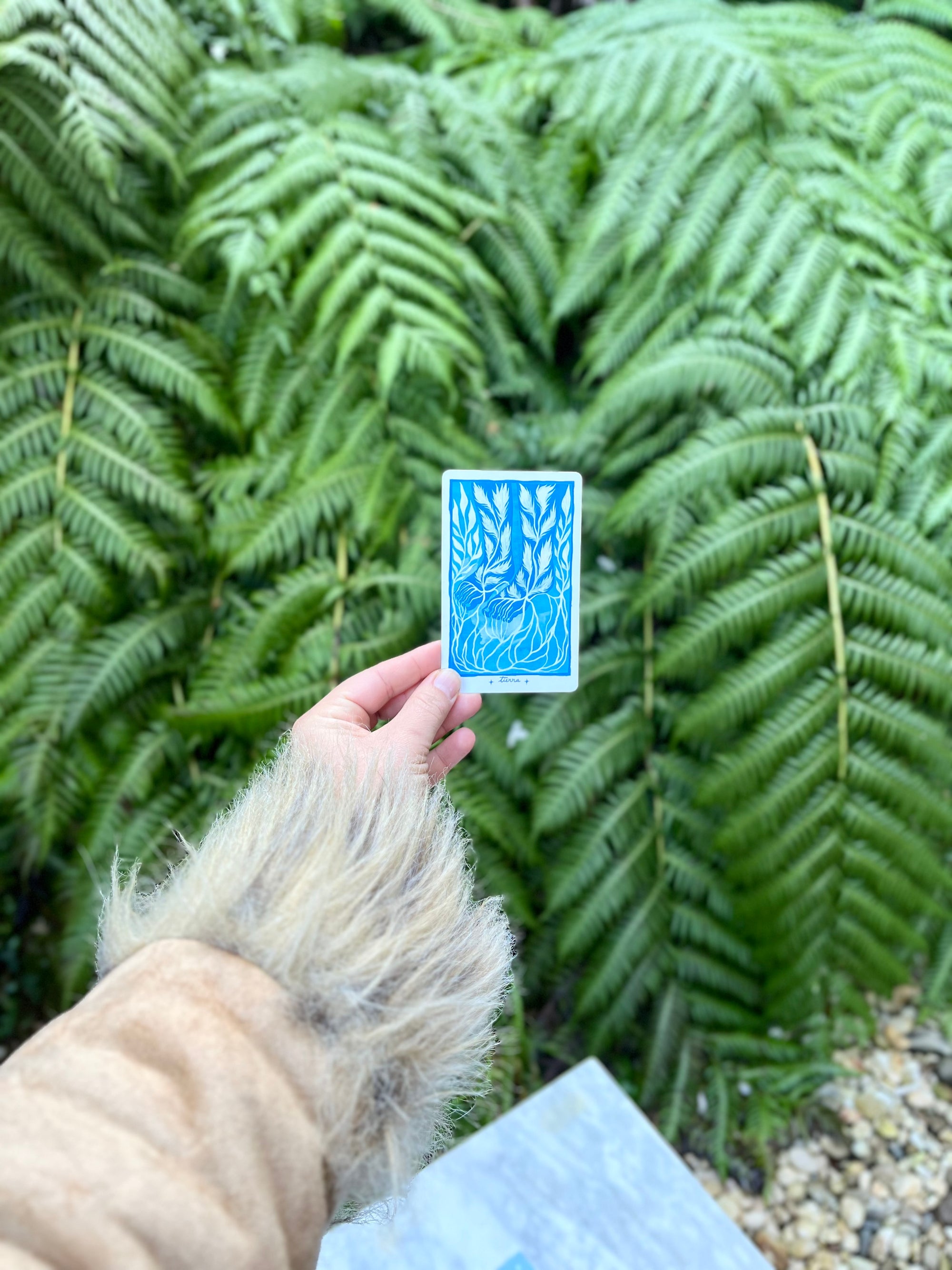 | | Pre-Order | | Los Campos Energéticos Oracle Deck - AVAILABLE SOON JOIN THE NEWSLETTER